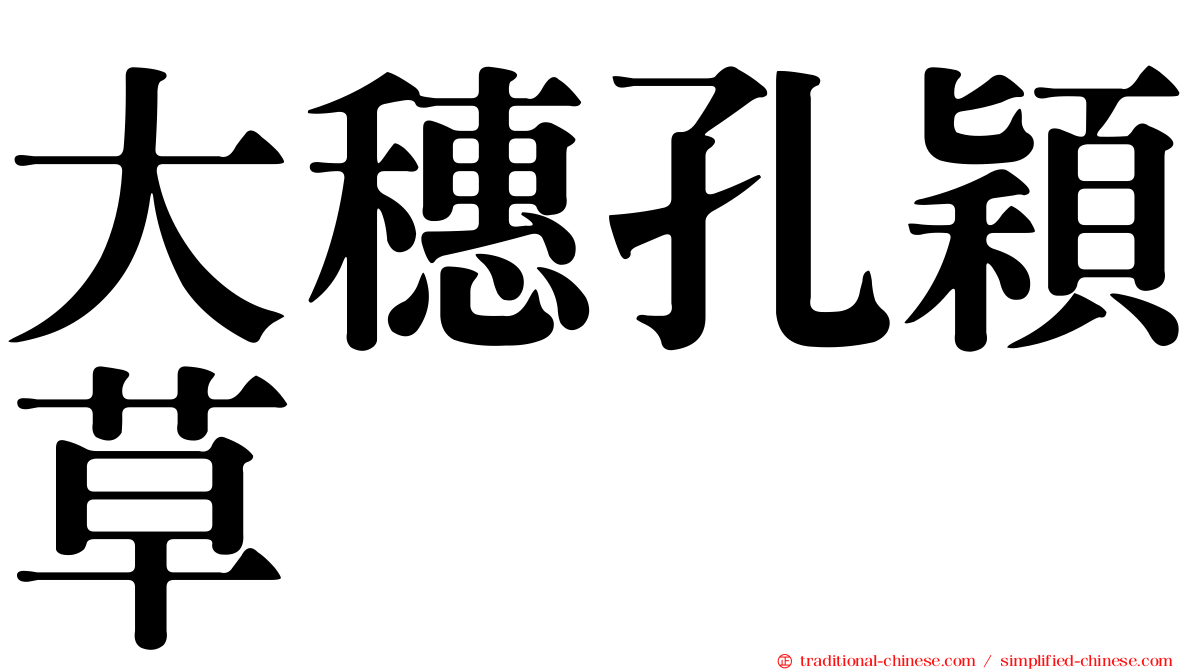 大穗孔穎草
