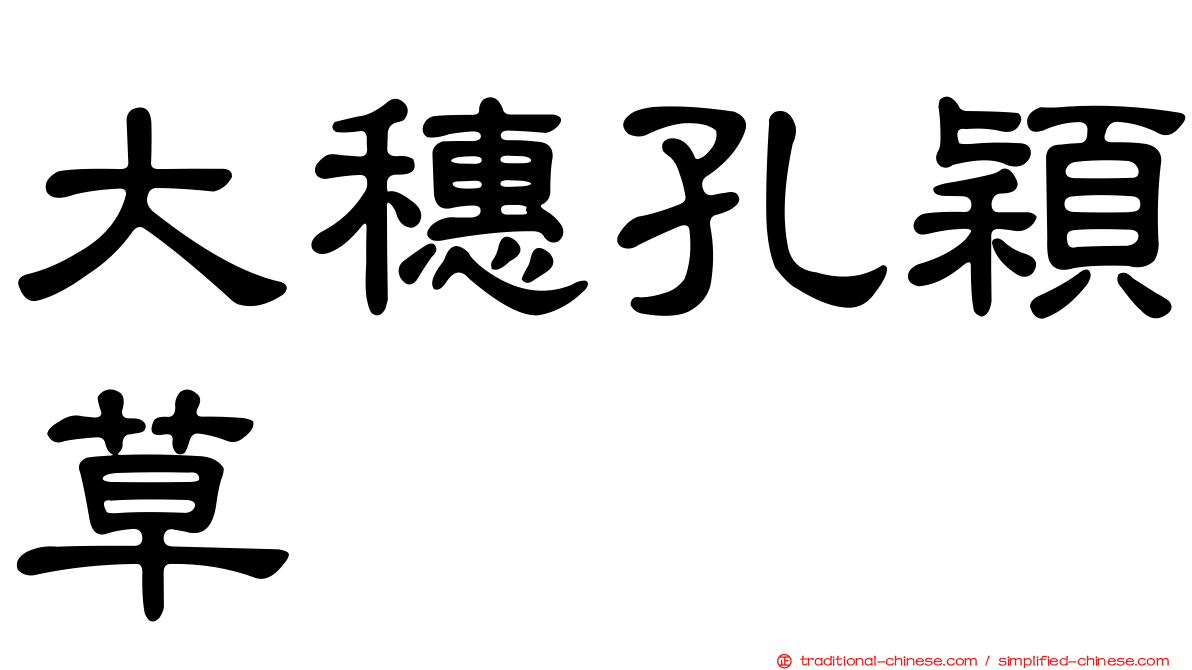 大穗孔穎草