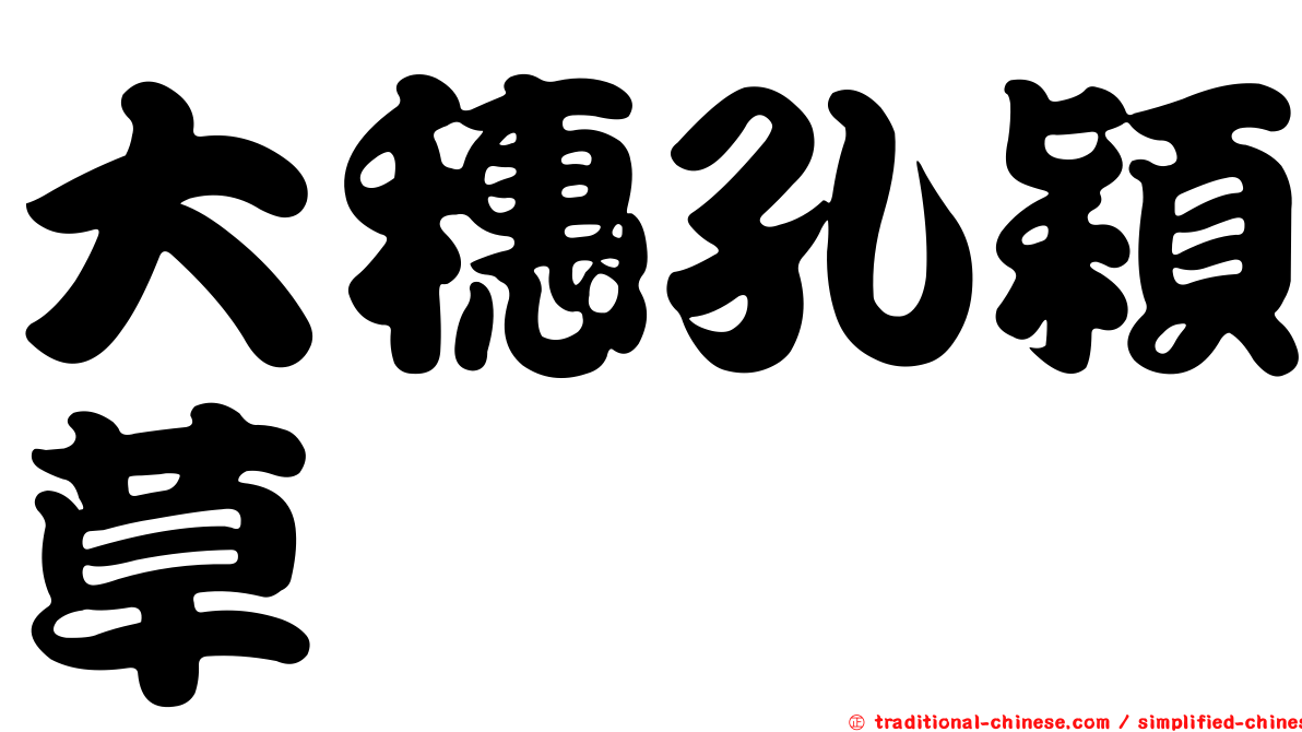 大穗孔穎草