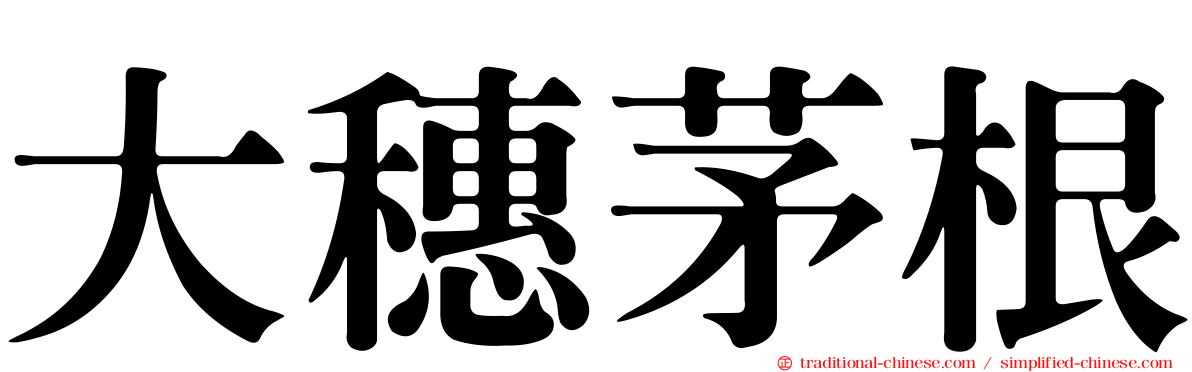 大穗茅根
