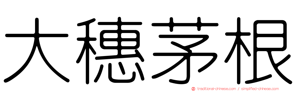 大穗茅根