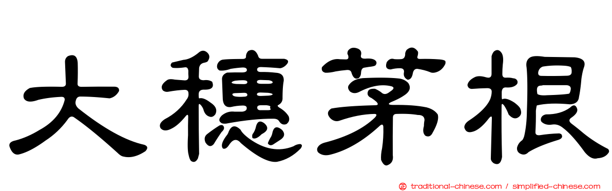 大穗茅根