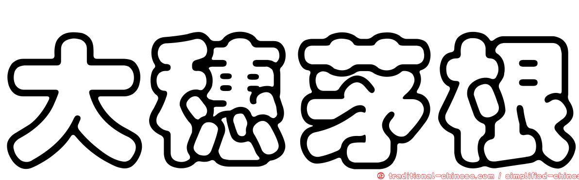大穗茅根