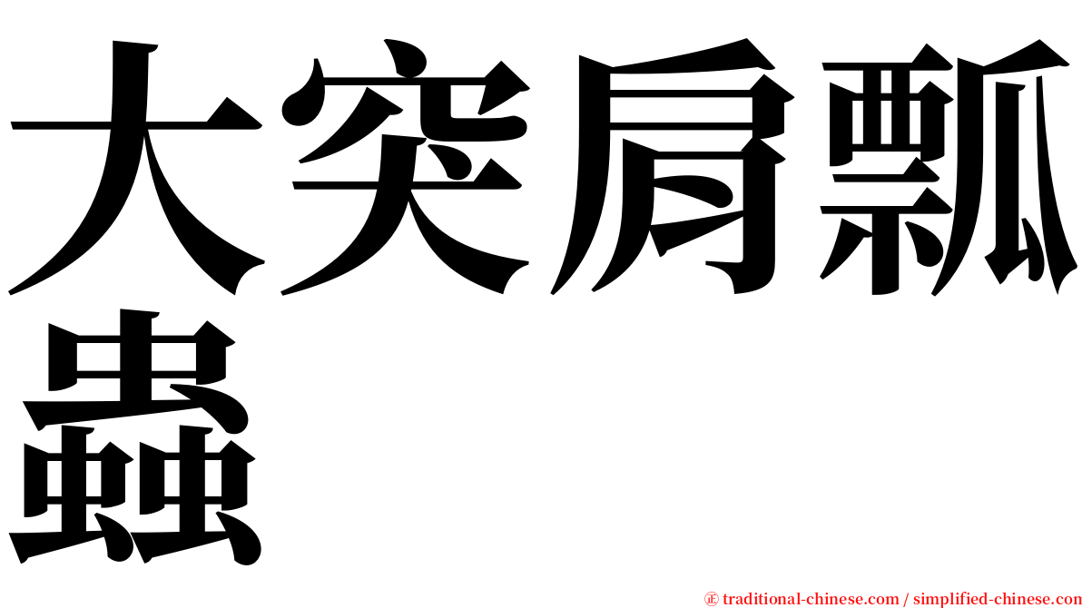 大突肩瓢蟲 serif font