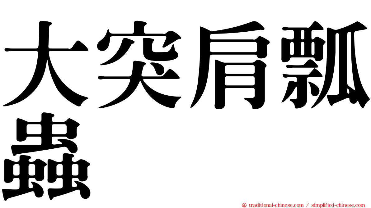 大突肩瓢蟲