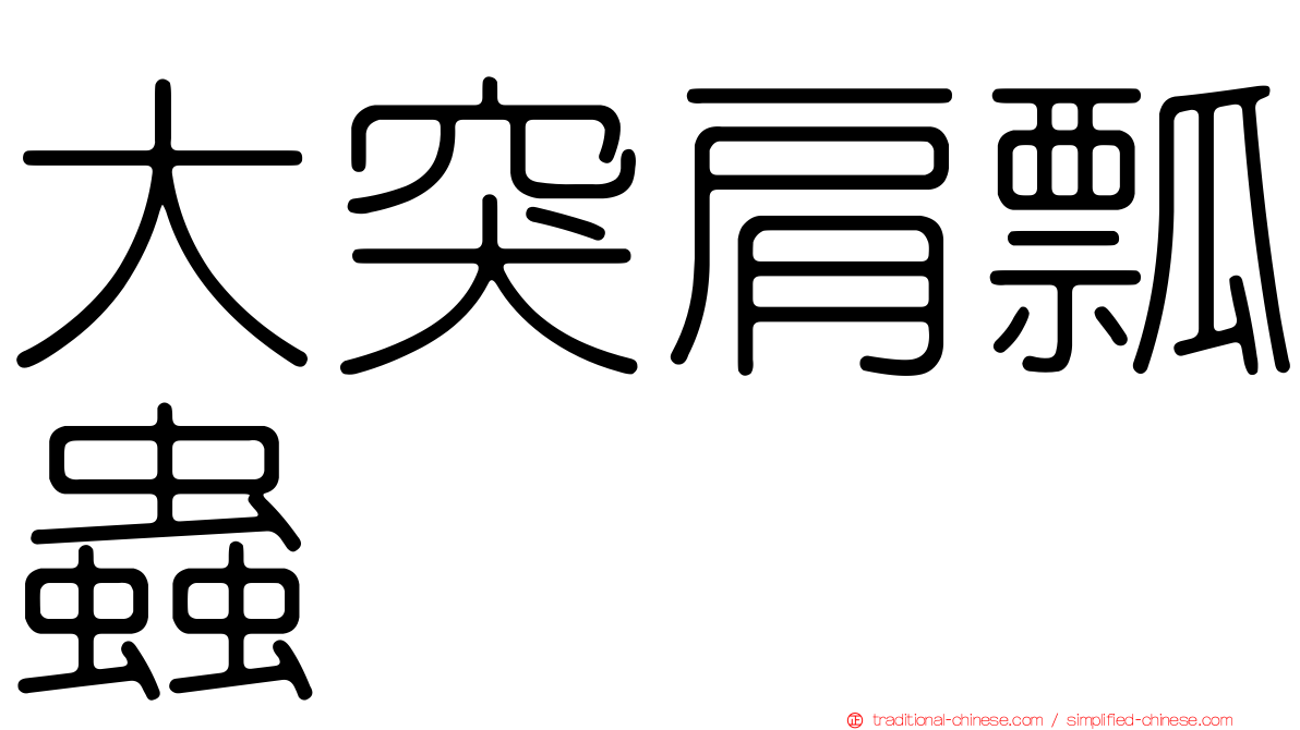 大突肩瓢蟲