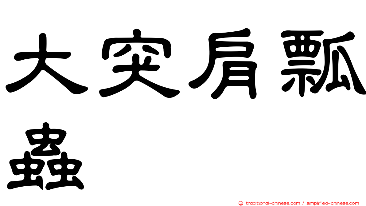 大突肩瓢蟲