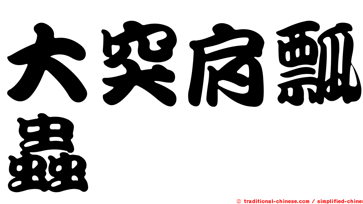 大突肩瓢蟲