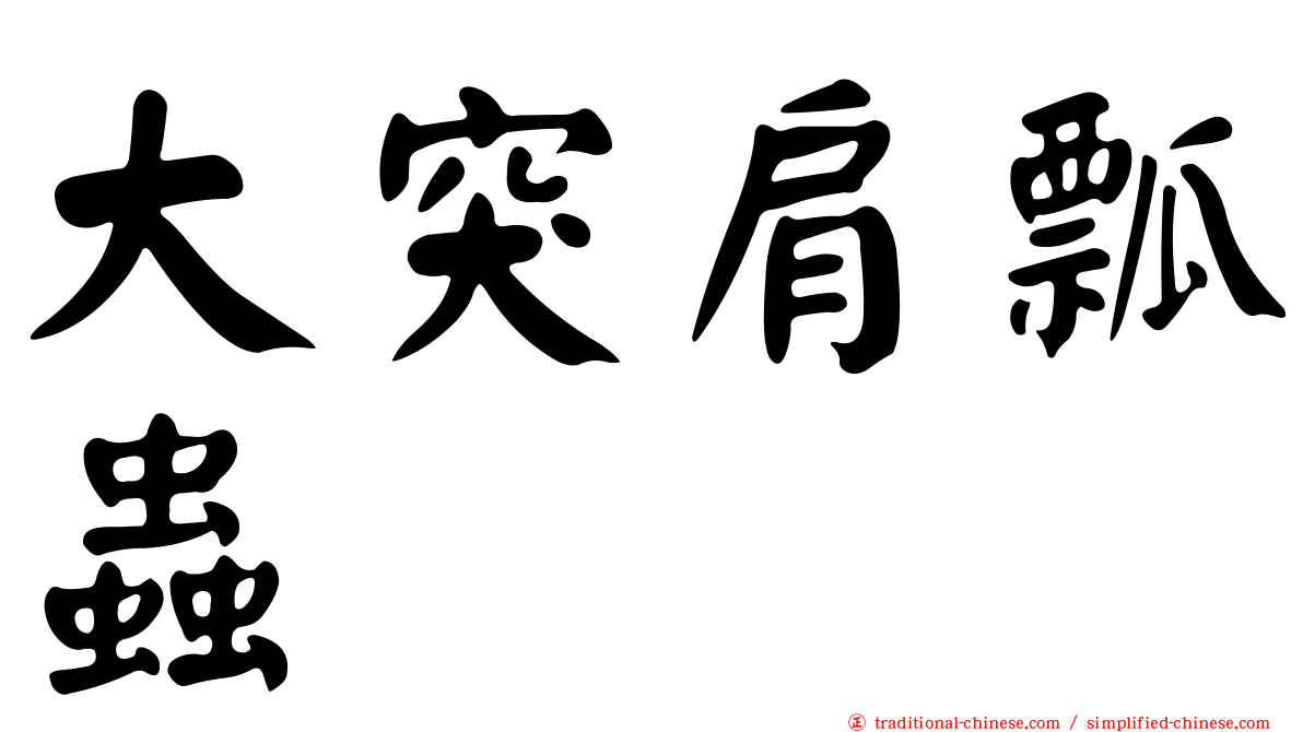大突肩瓢蟲