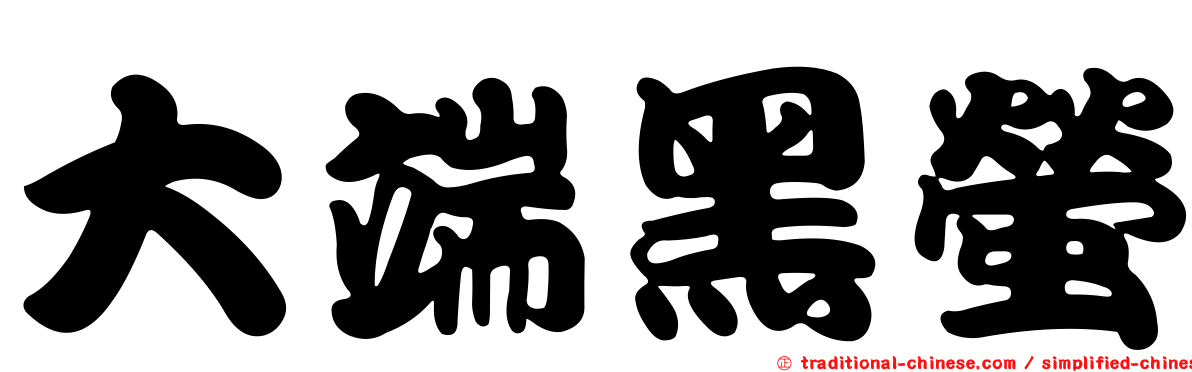 大端黑螢