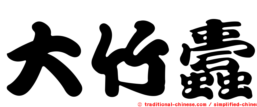 大竹蠹