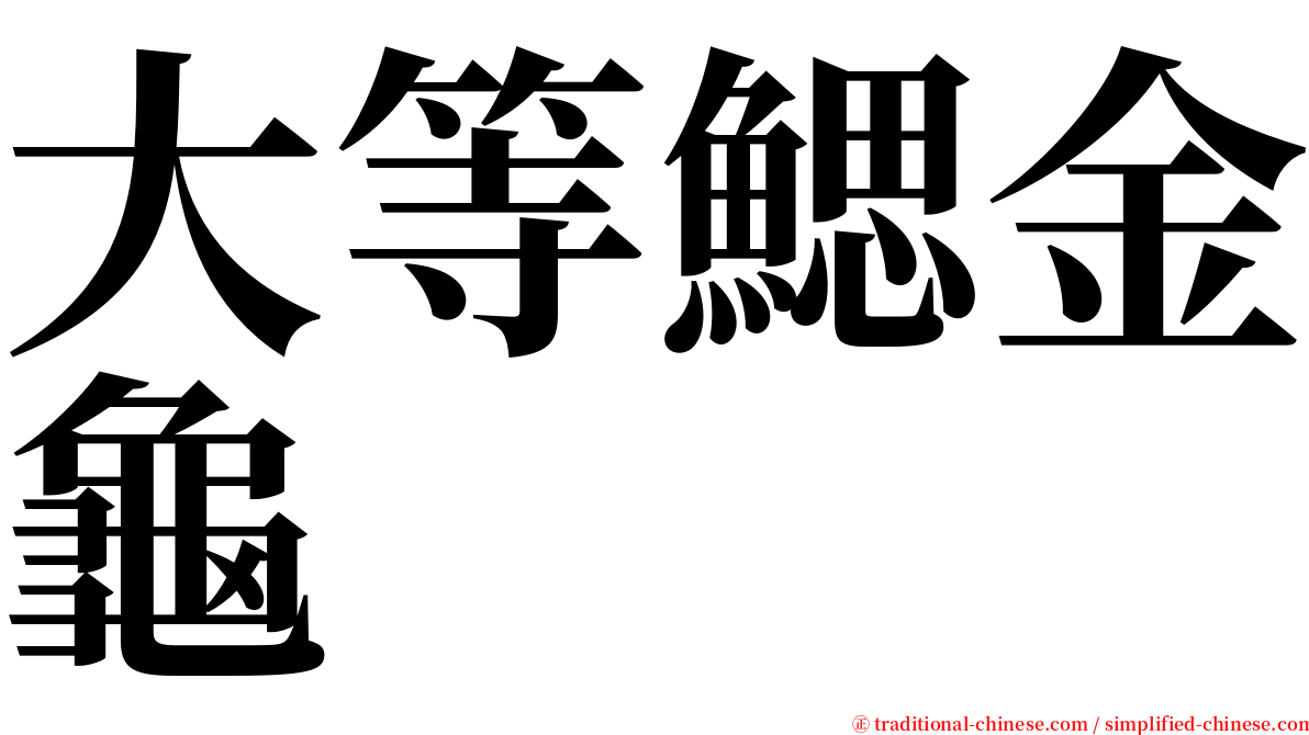 大等鰓金龜 serif font