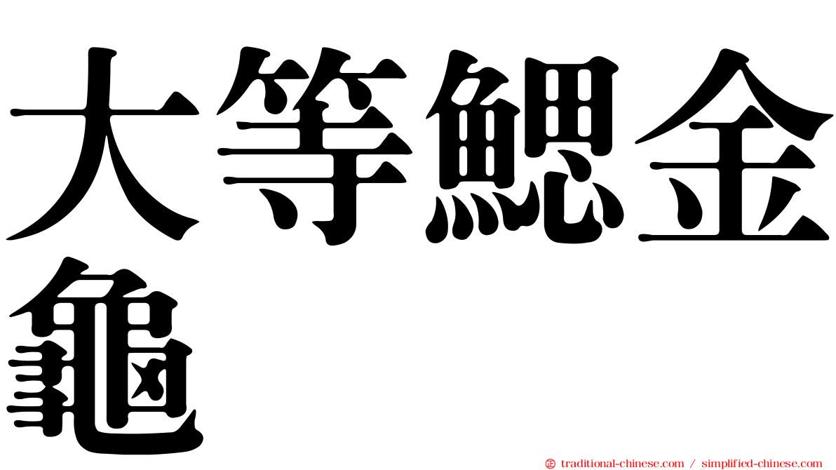大等鰓金龜