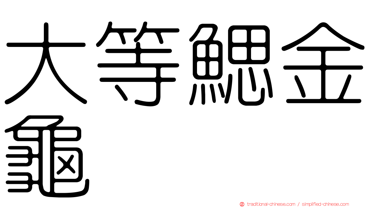 大等鰓金龜