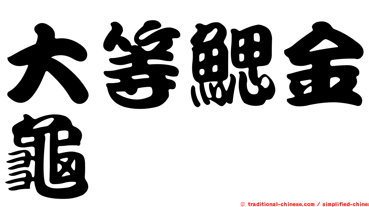 大等鰓金龜