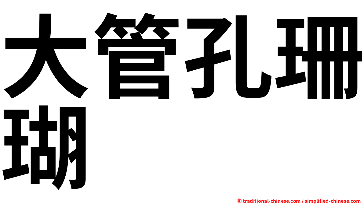 大管孔珊瑚