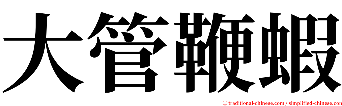 大管鞭蝦 serif font