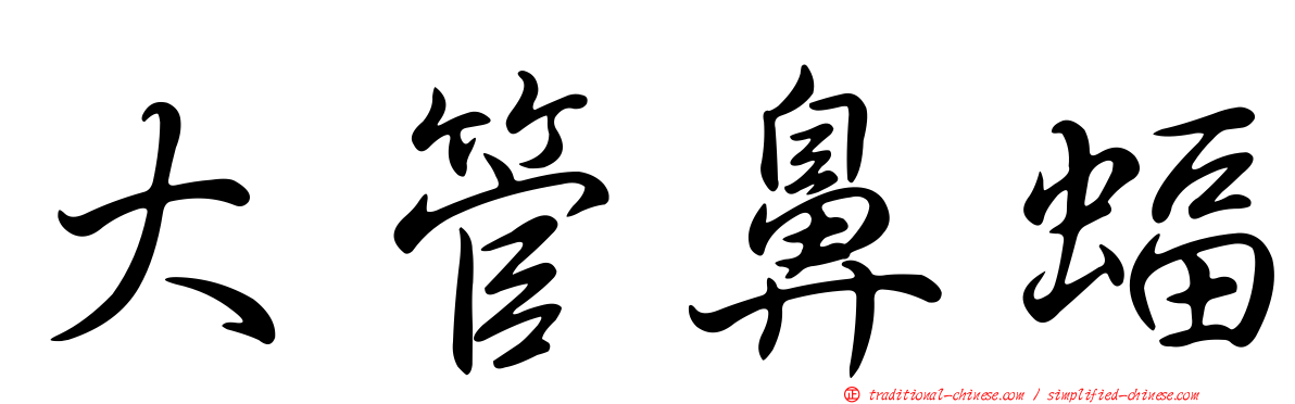 大管鼻蝠