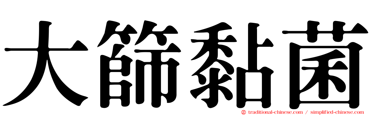 大篩黏菌
