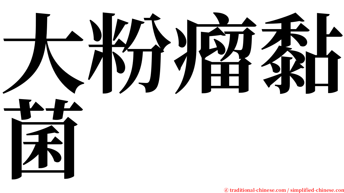 大粉瘤黏菌 serif font