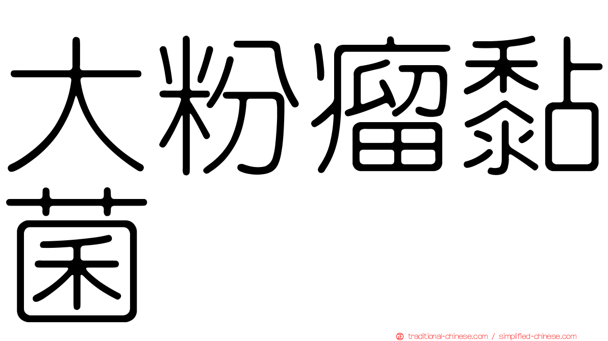大粉瘤黏菌