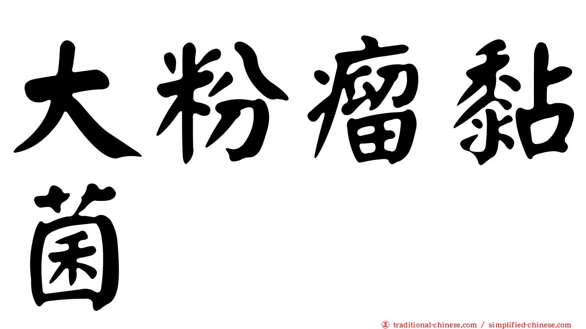 大粉瘤黏菌