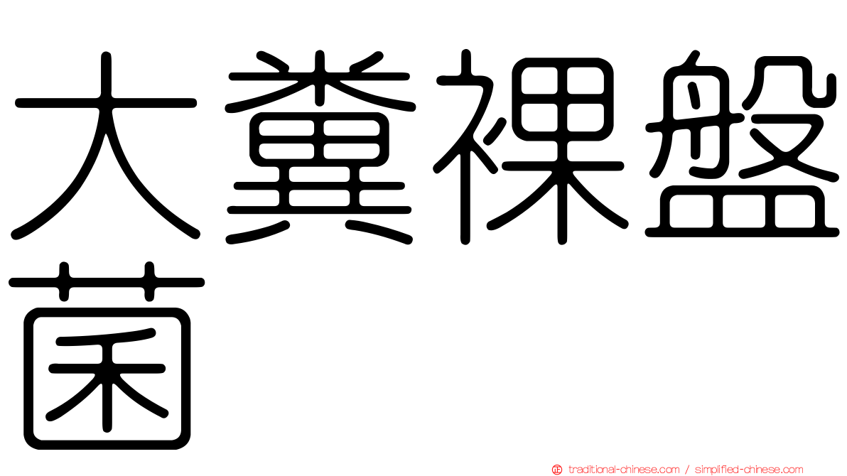 大糞裸盤菌