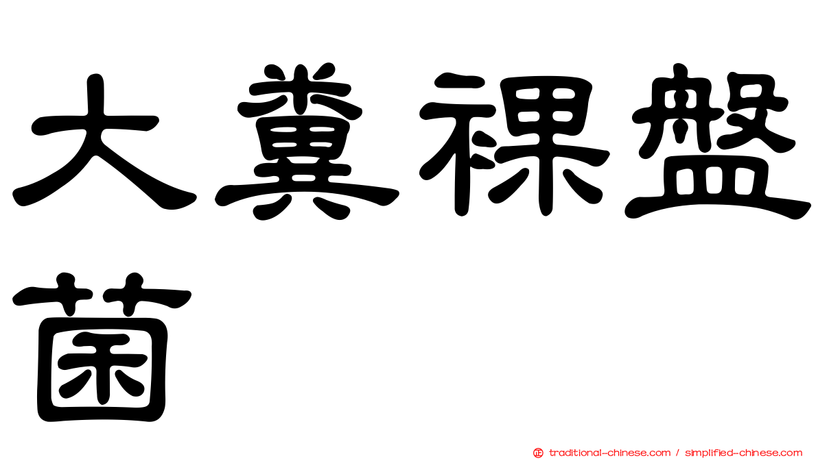 大糞裸盤菌