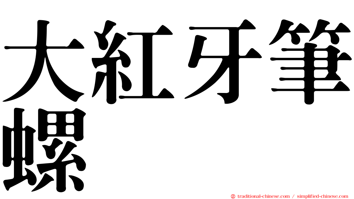 大紅牙筆螺