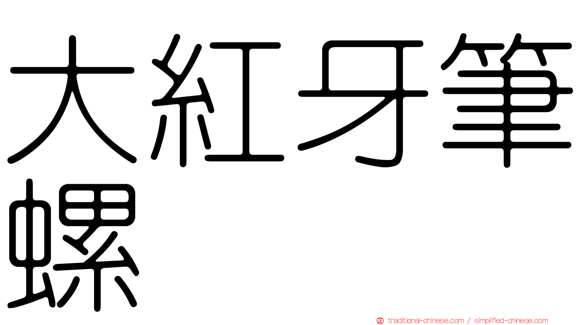 大紅牙筆螺
