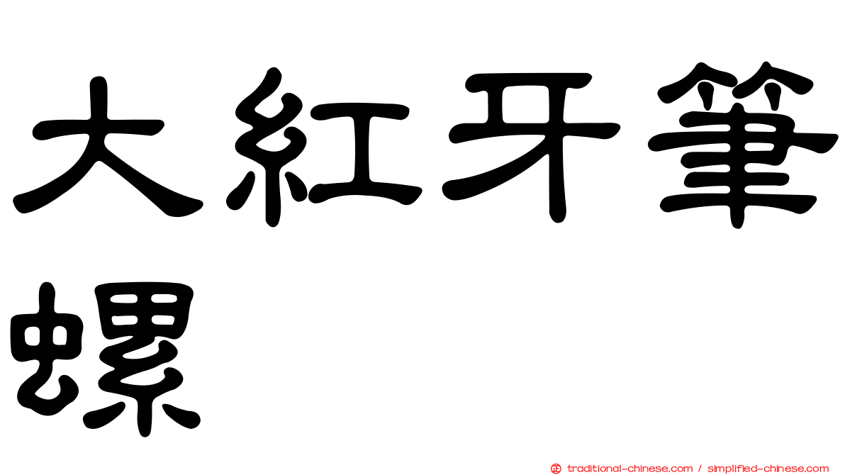 大紅牙筆螺
