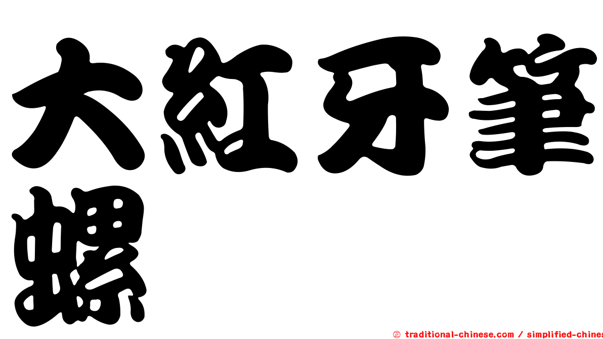大紅牙筆螺
