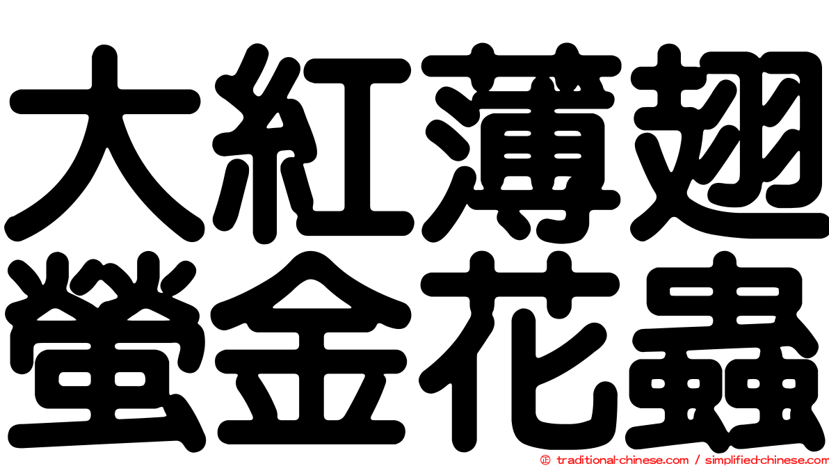 大紅薄翅螢金花蟲