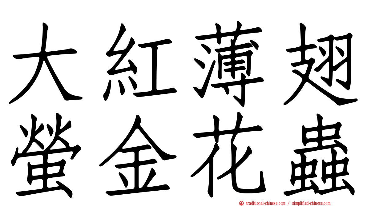大紅薄翅螢金花蟲