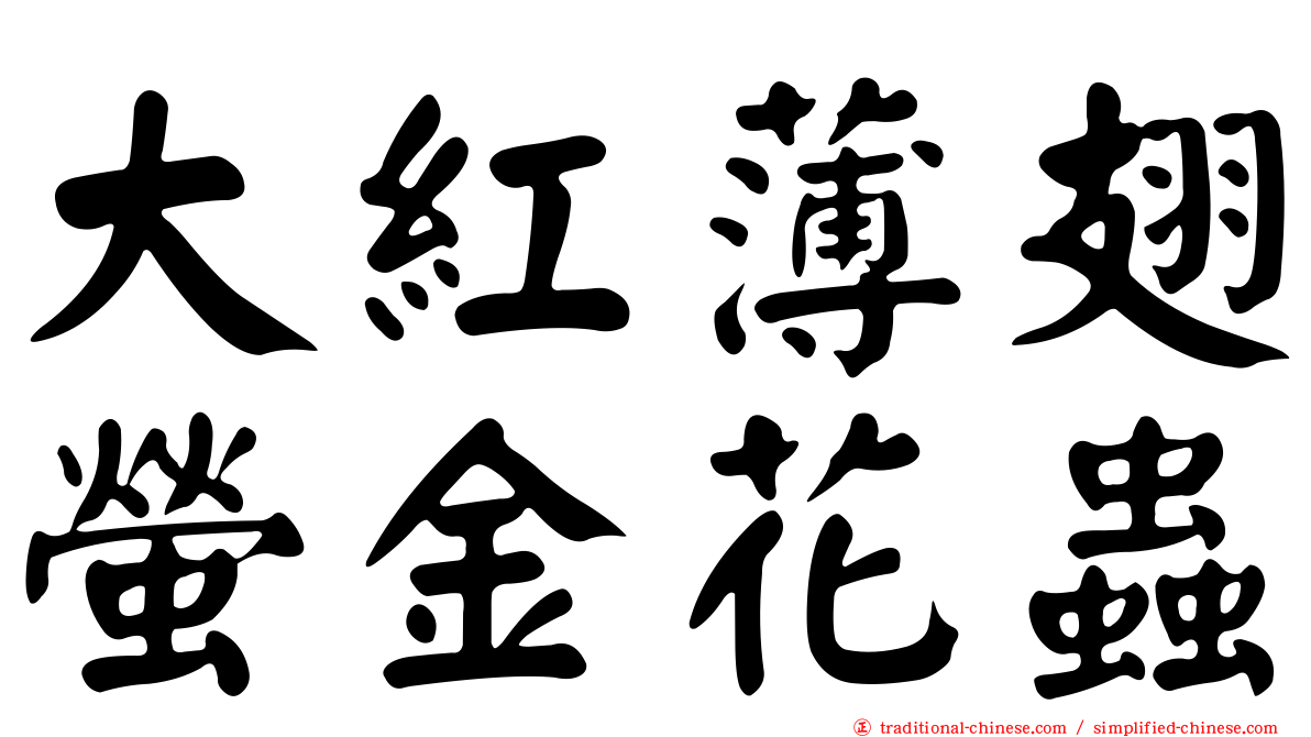 大紅薄翅螢金花蟲