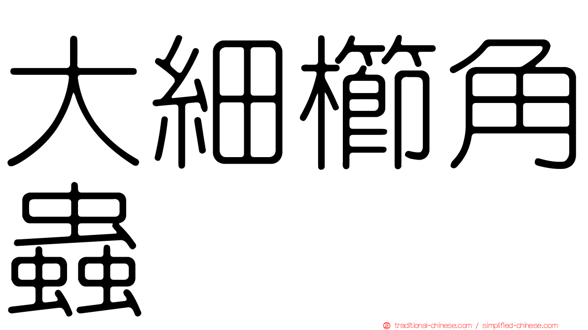 大細櫛角蟲