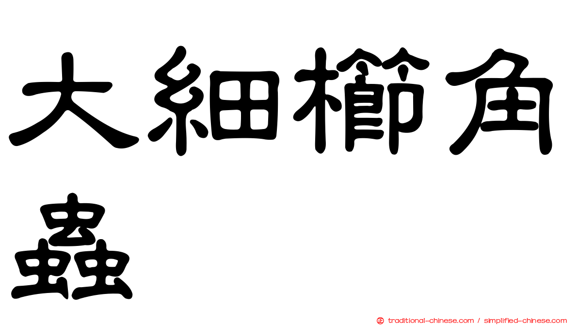 大細櫛角蟲
