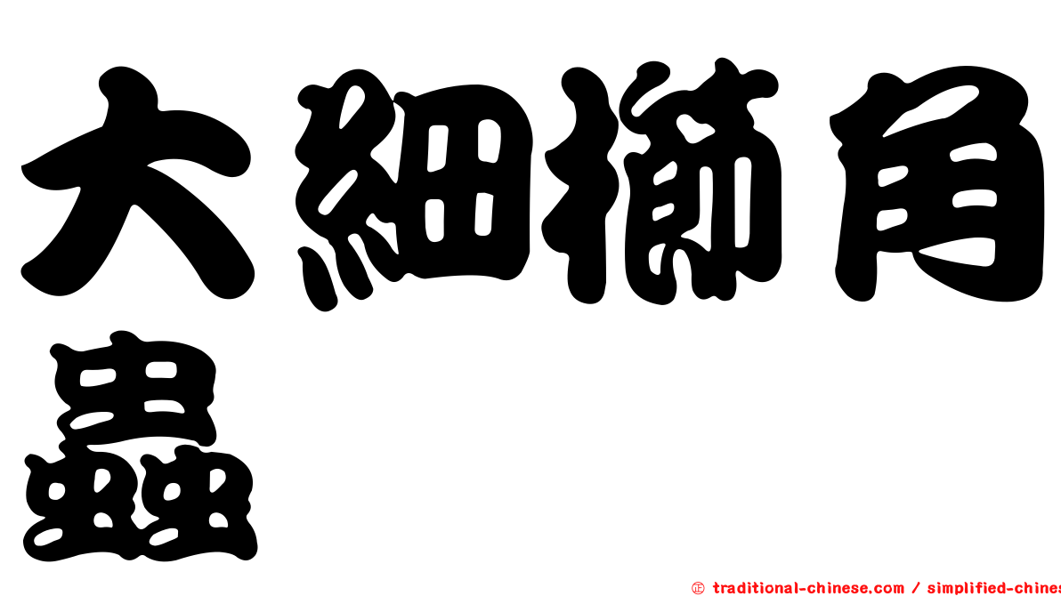 大細櫛角蟲