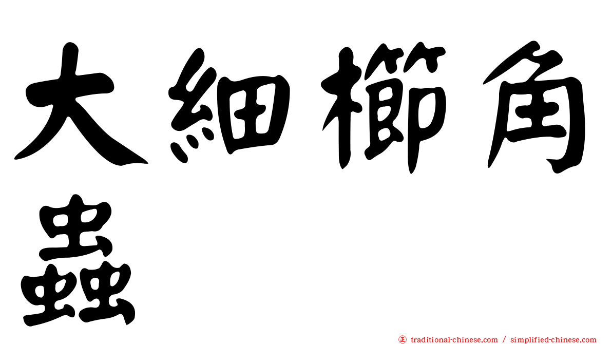 大細櫛角蟲