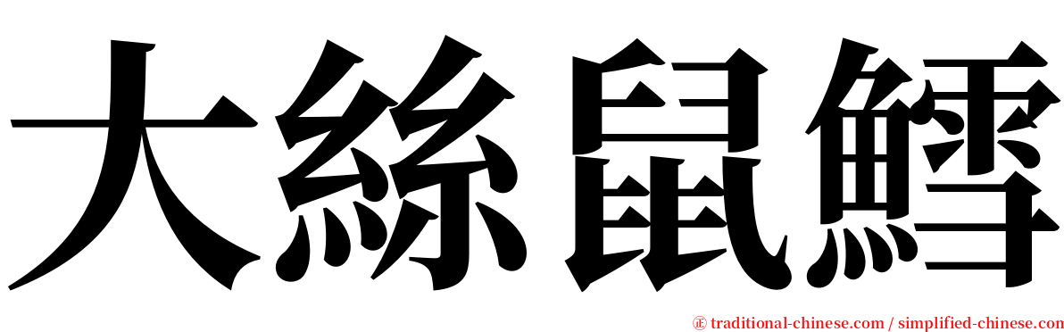 大絲鼠鱈 serif font