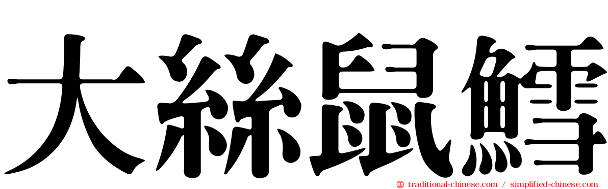 大絲鼠鱈