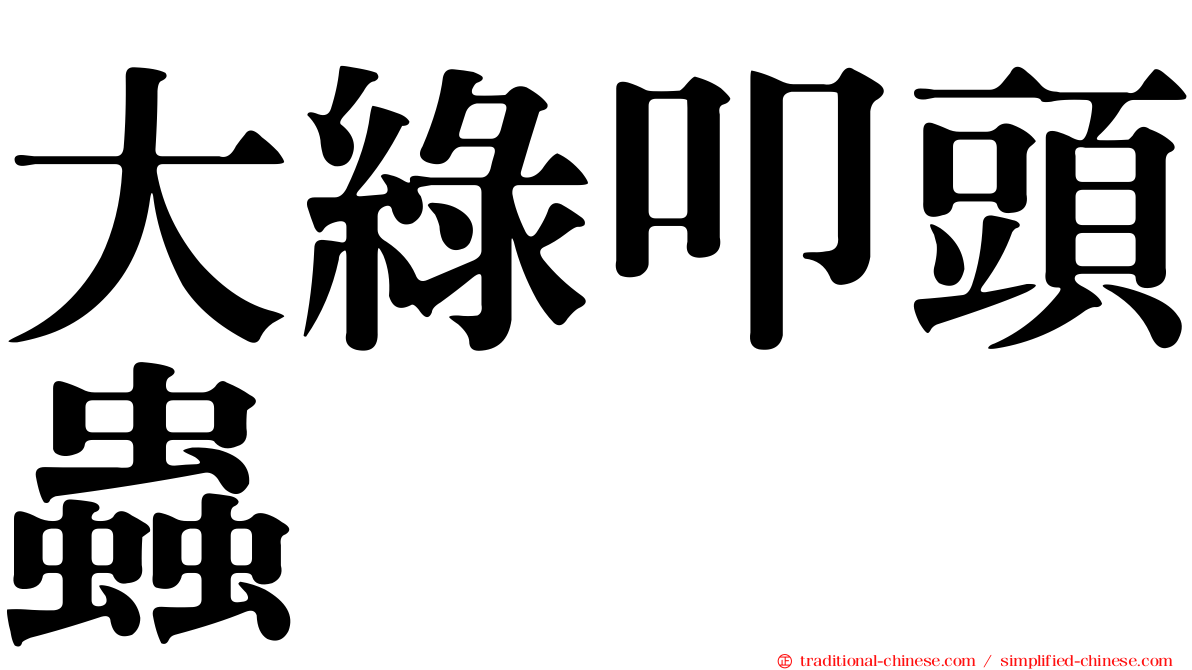 大綠叩頭蟲