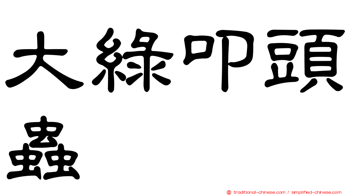 大綠叩頭蟲