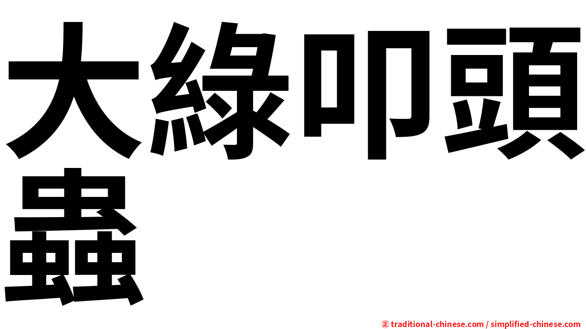 大綠叩頭蟲