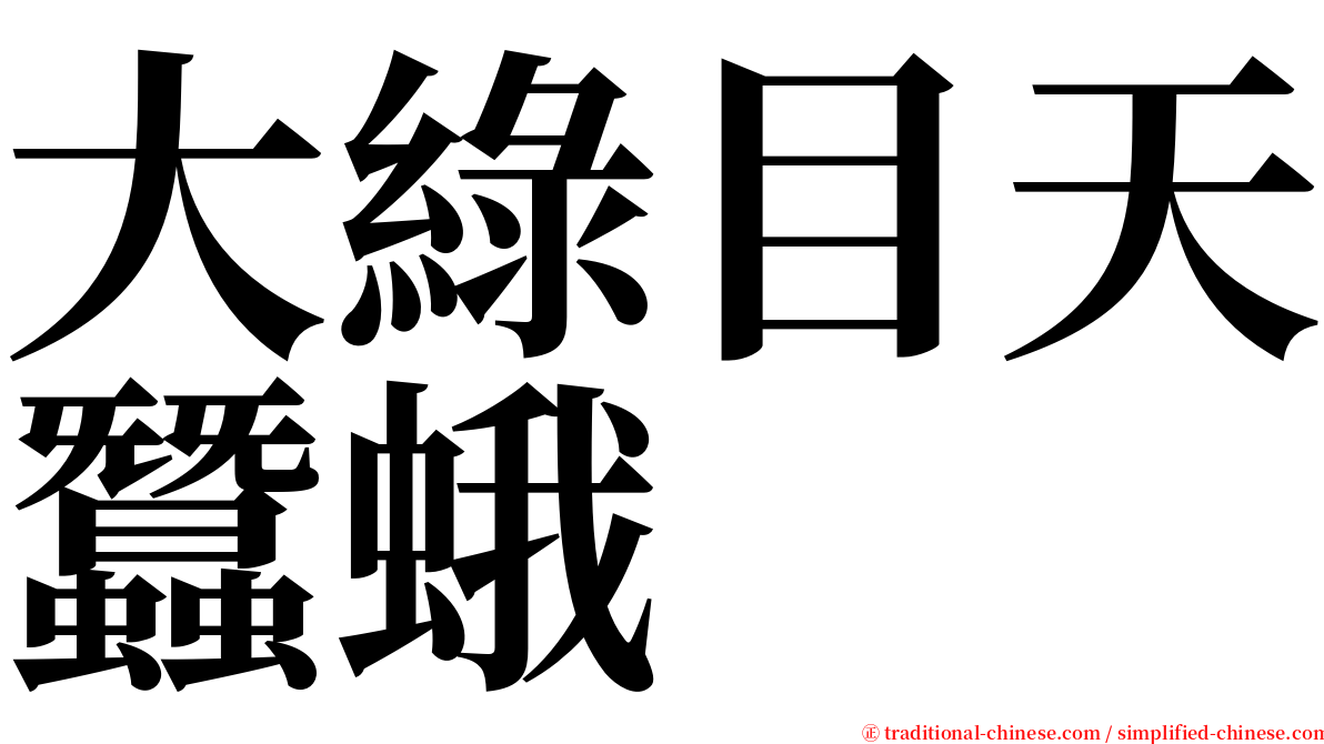 大綠目天蠶蛾 serif font