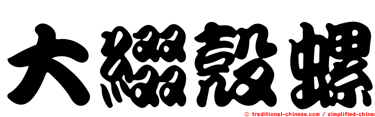 大綴殼螺