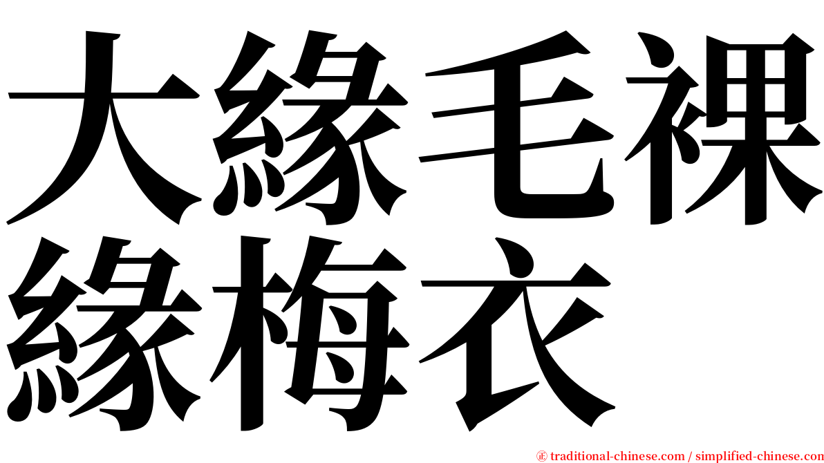 大緣毛裸緣梅衣 serif font