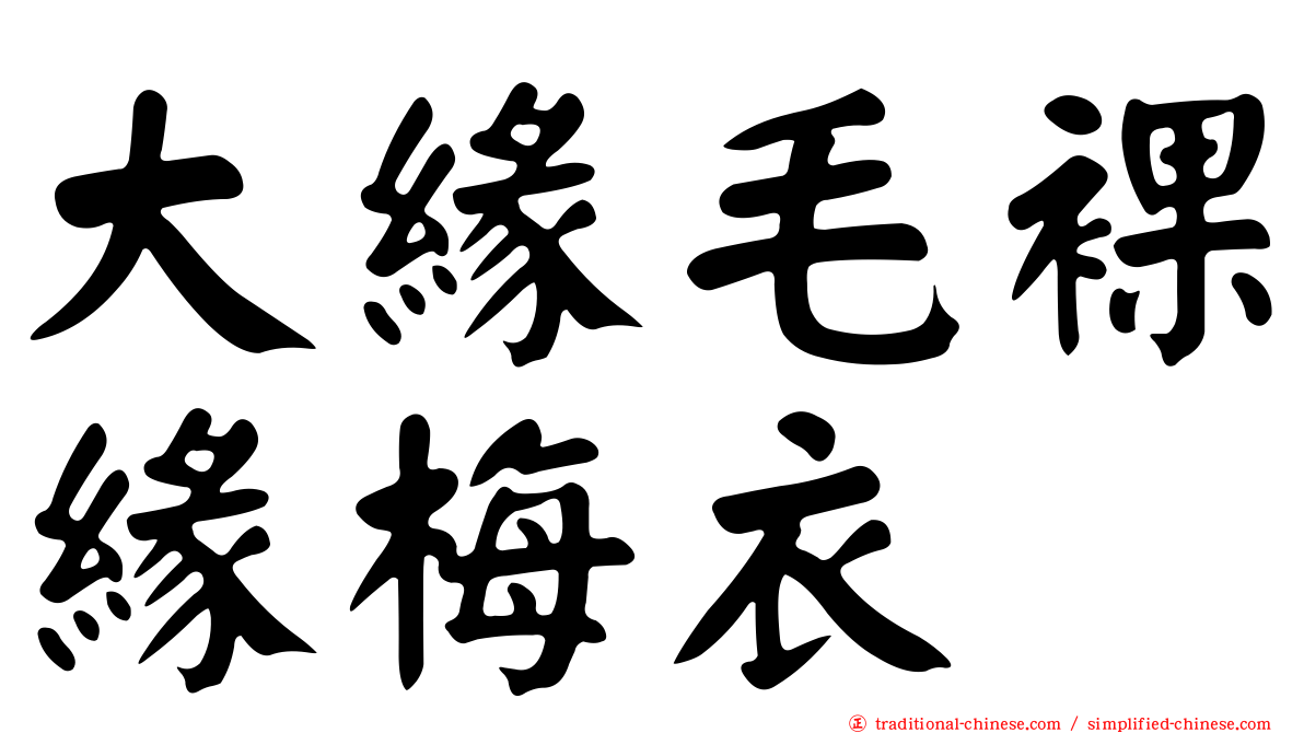 大緣毛裸緣梅衣