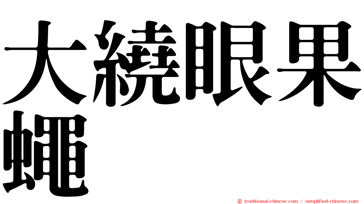 大繞眼果蠅