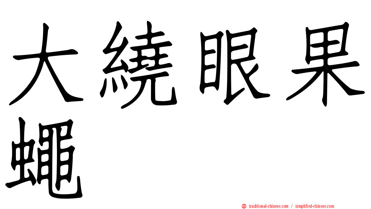 大繞眼果蠅